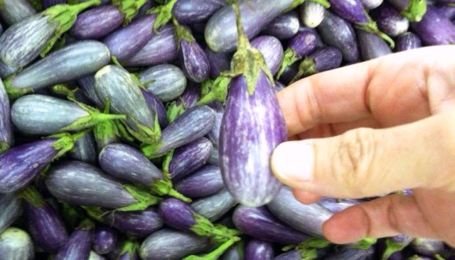 Once Upon a Time, a Fairy (Eggplant) Tale…