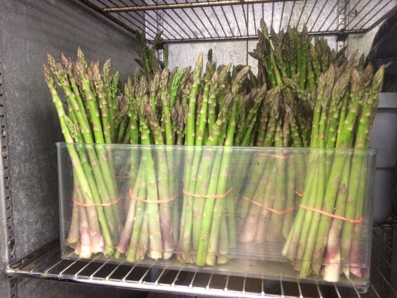 asparagus