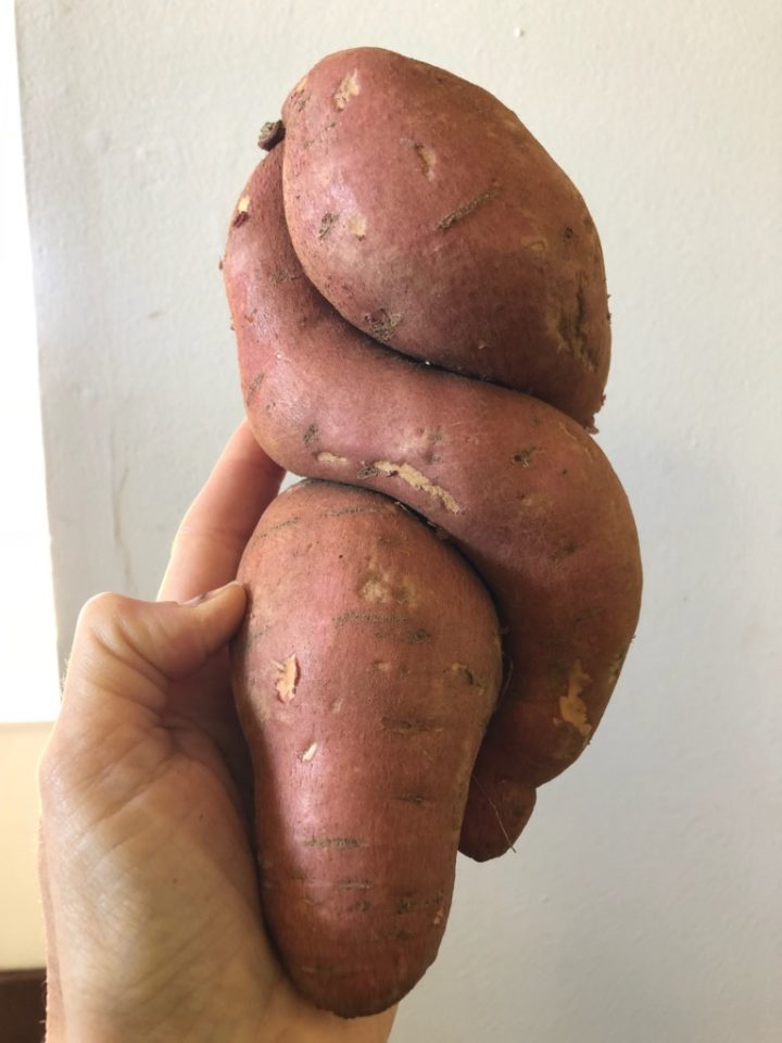 Sweet Potatoes with Persimmons