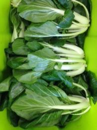 Tatsoi with Mushrooms and Indian Spices