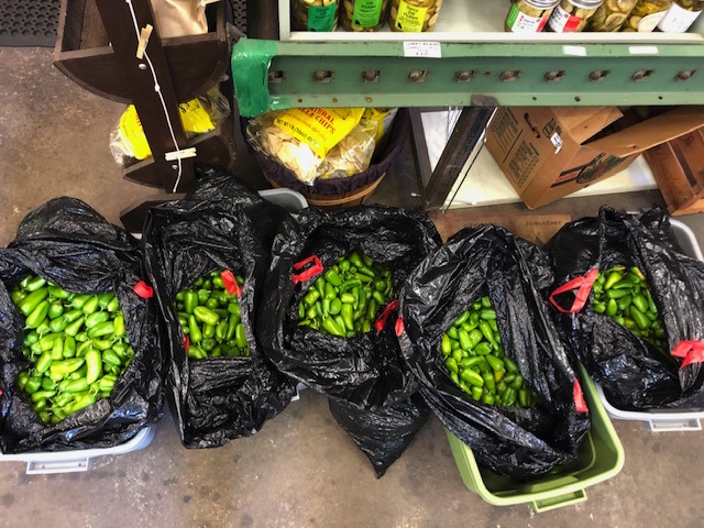 “Green” Lunchbox Peppers