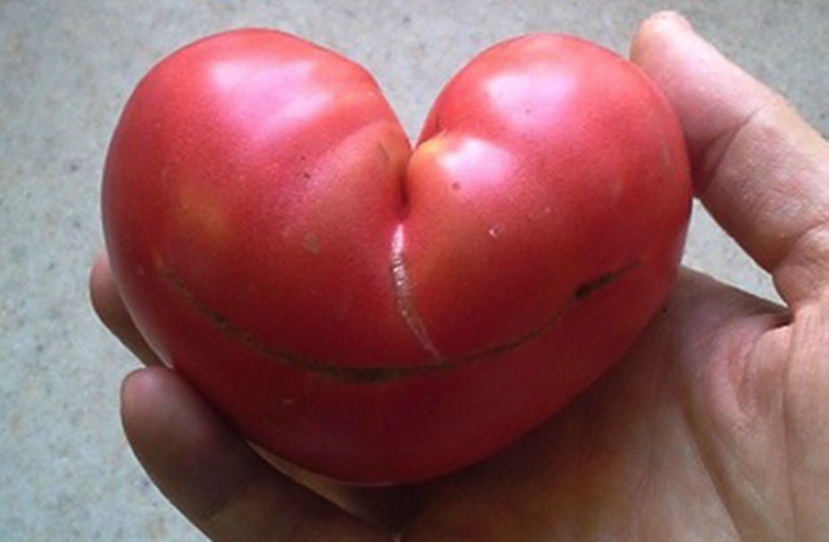 TomatoHeart.hi_