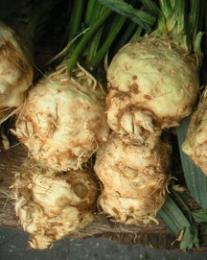 Celery Root Mashed Potatoes