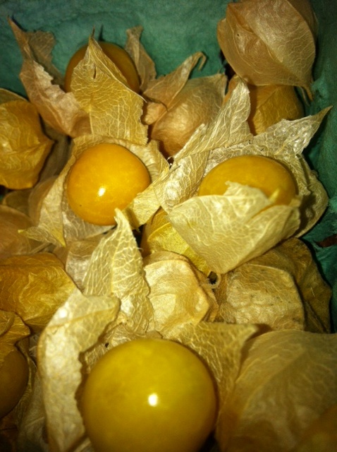 Ground Cherries Are Here