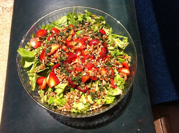 Green Salad with Strawberries and Lemon Balm Dressing