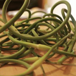 Garlic Scapes Pesto