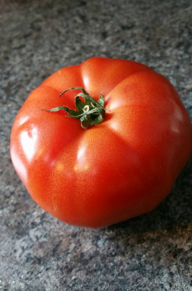 Tomato peeling