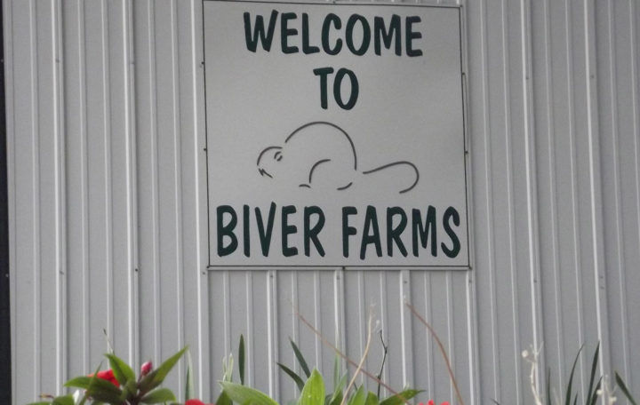 Biver Organic Farms