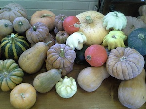Winter Squash and Beet Soup