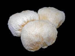 Lions Mane Mushrooms