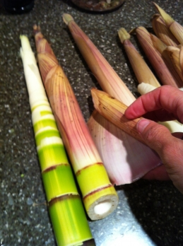 How to Prep Fresh Bamboo Shoots