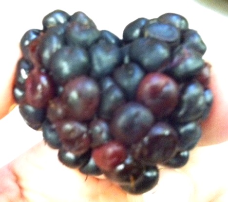 blackberrylove