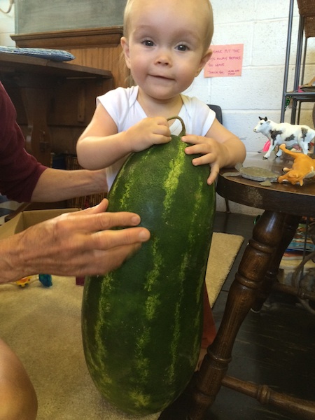 fiona&h20melon