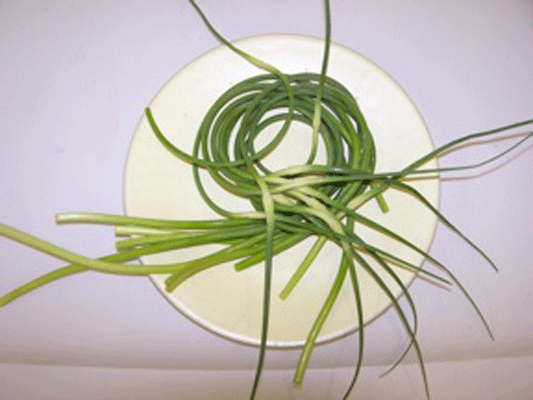 Tip: What are garlic scapes and how do I use them?