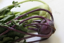 kohlrabipurple