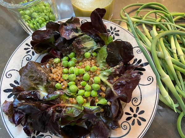 Salad with wheat berries, fresh peas, and garlic scape vinaigrette