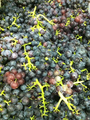 grapes