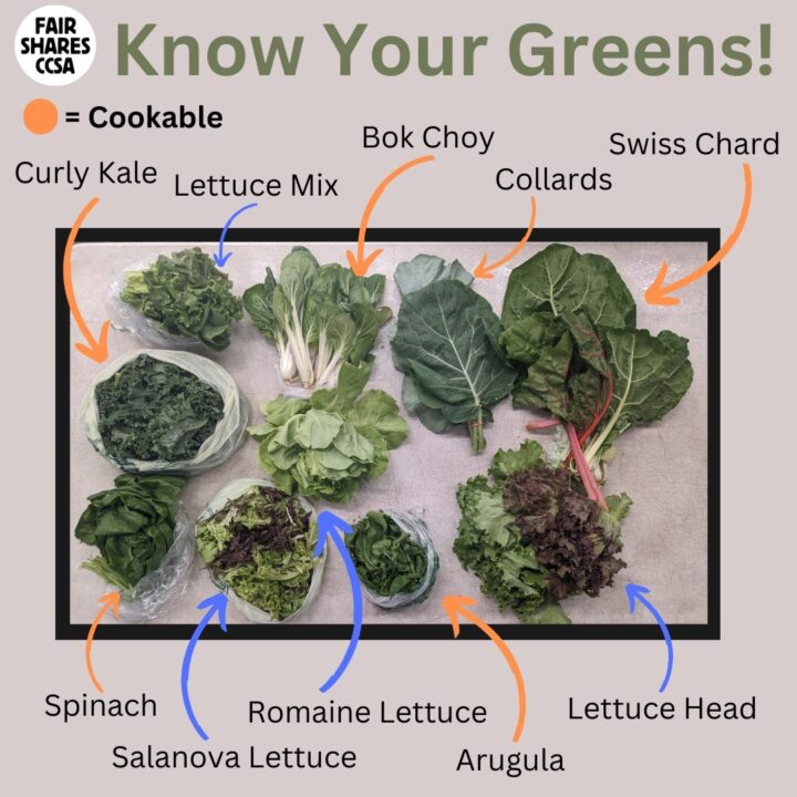 Know Your Greens!