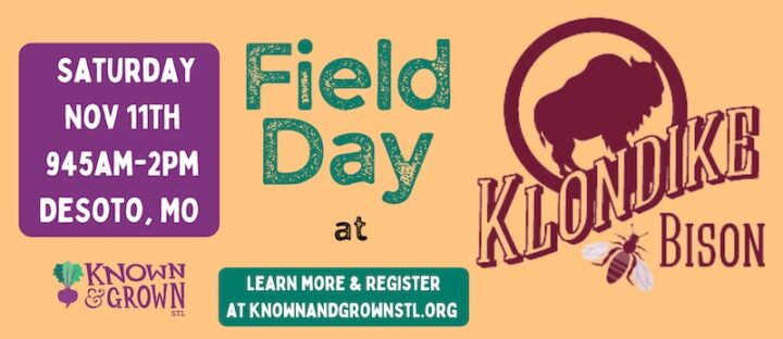 Field Day at Klondike Bison