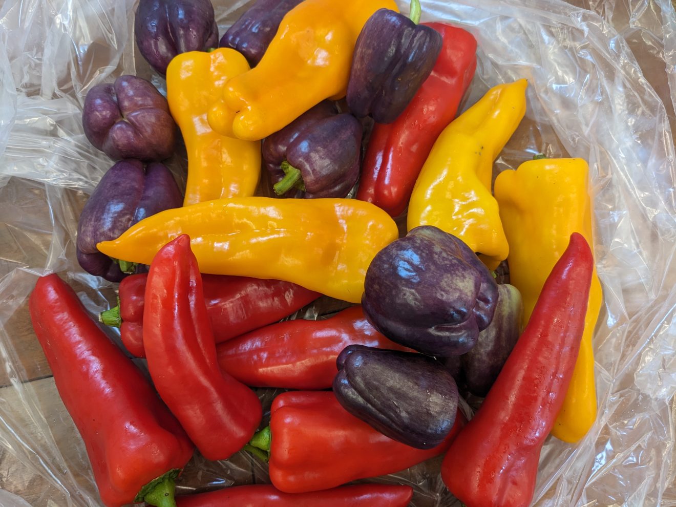 Preserving the Harvest